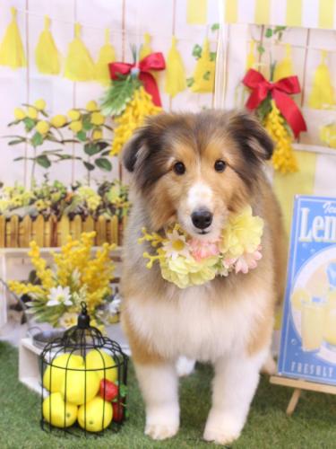 20240428リクくん